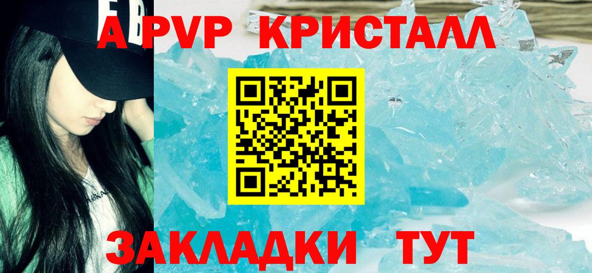 A PVP СК КРИС Петровск
