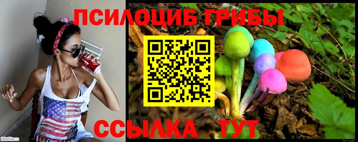Псилоцибиновые грибы Psilocybe Петровск