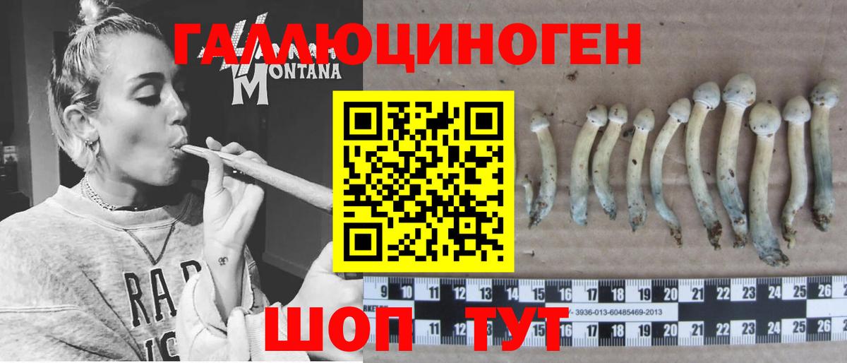 Петровск  Галлюциногенные грибы Psilocybine cubensis  Вход с VPN 